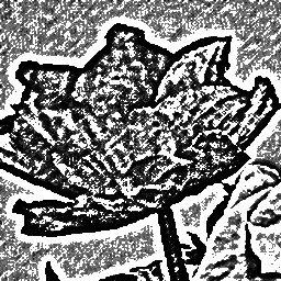 Pencil Sketch 002